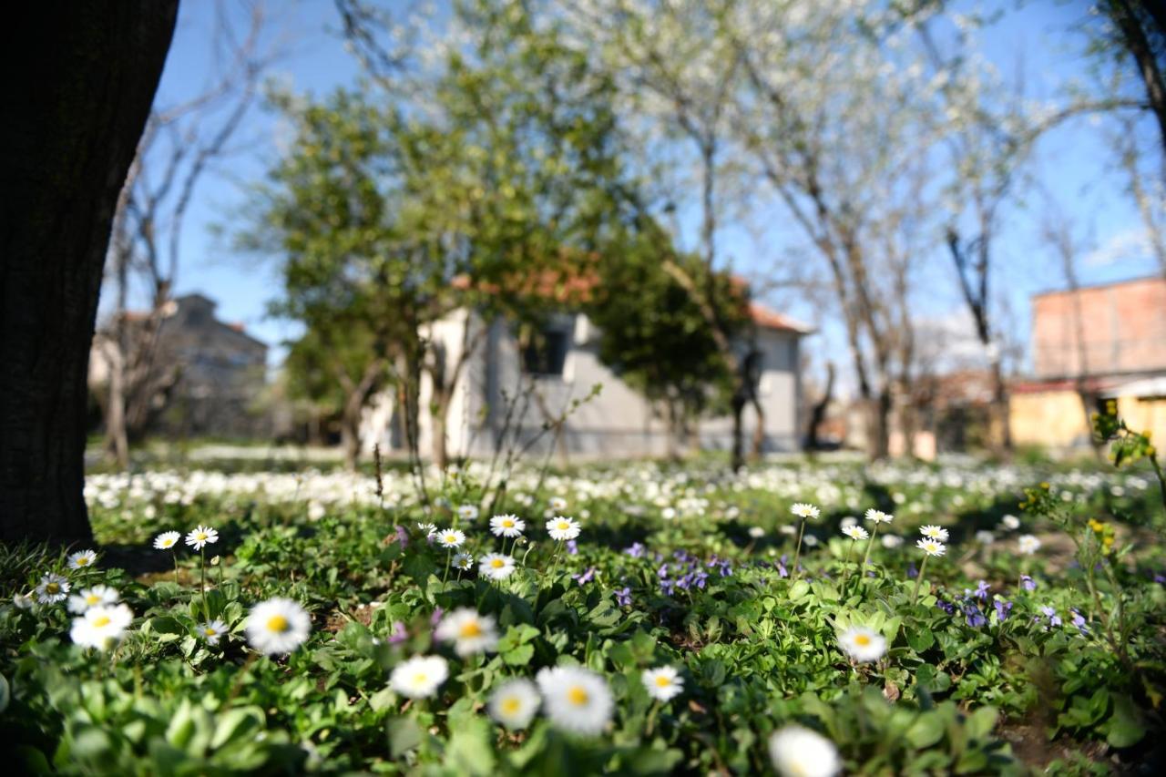 Nicolaus Hidden Gem Villa Shkodër Eksteriør bilde