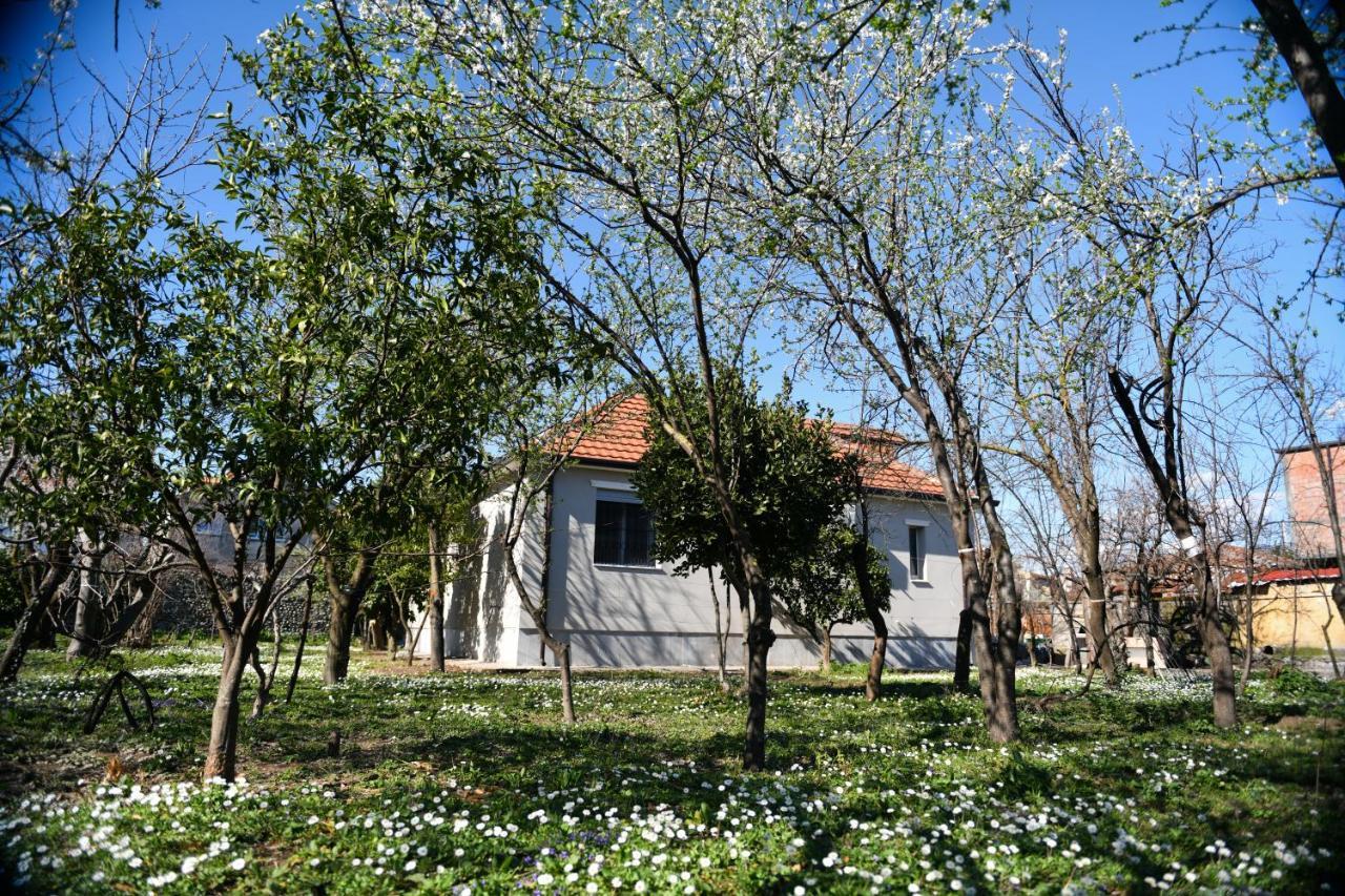 Nicolaus Hidden Gem Villa Shkodër Eksteriør bilde