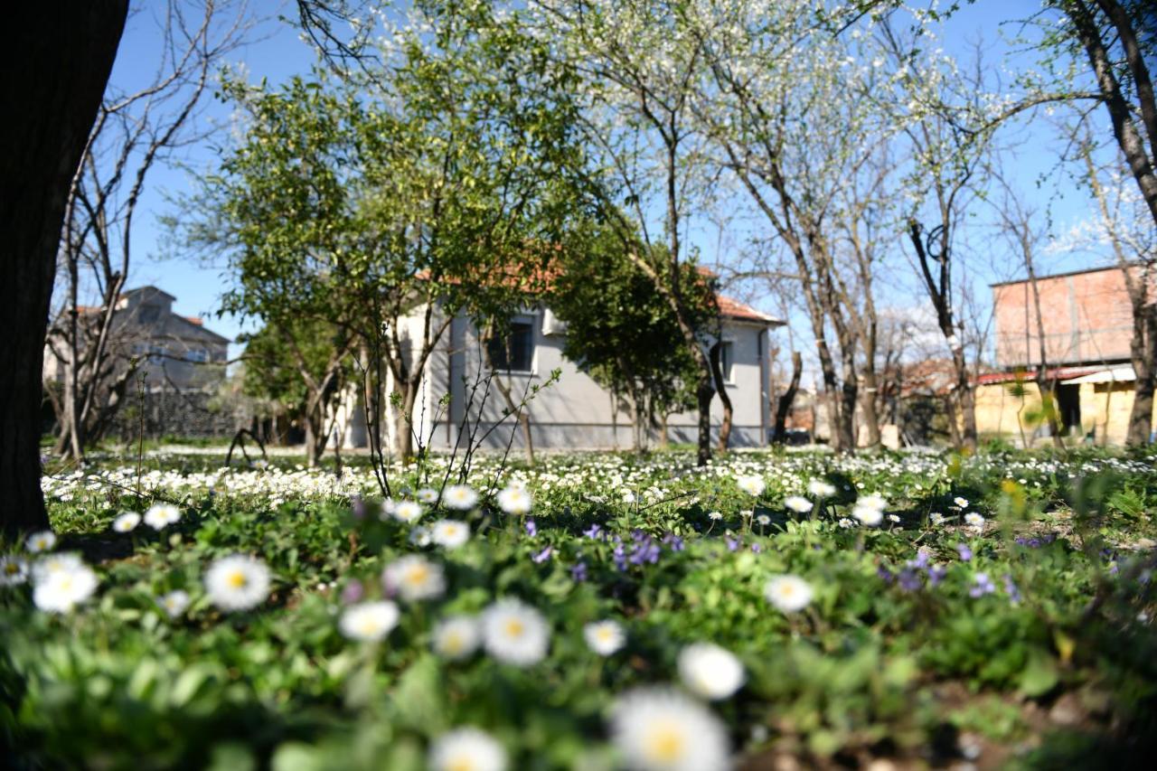 Nicolaus Hidden Gem Villa Shkodër Eksteriør bilde