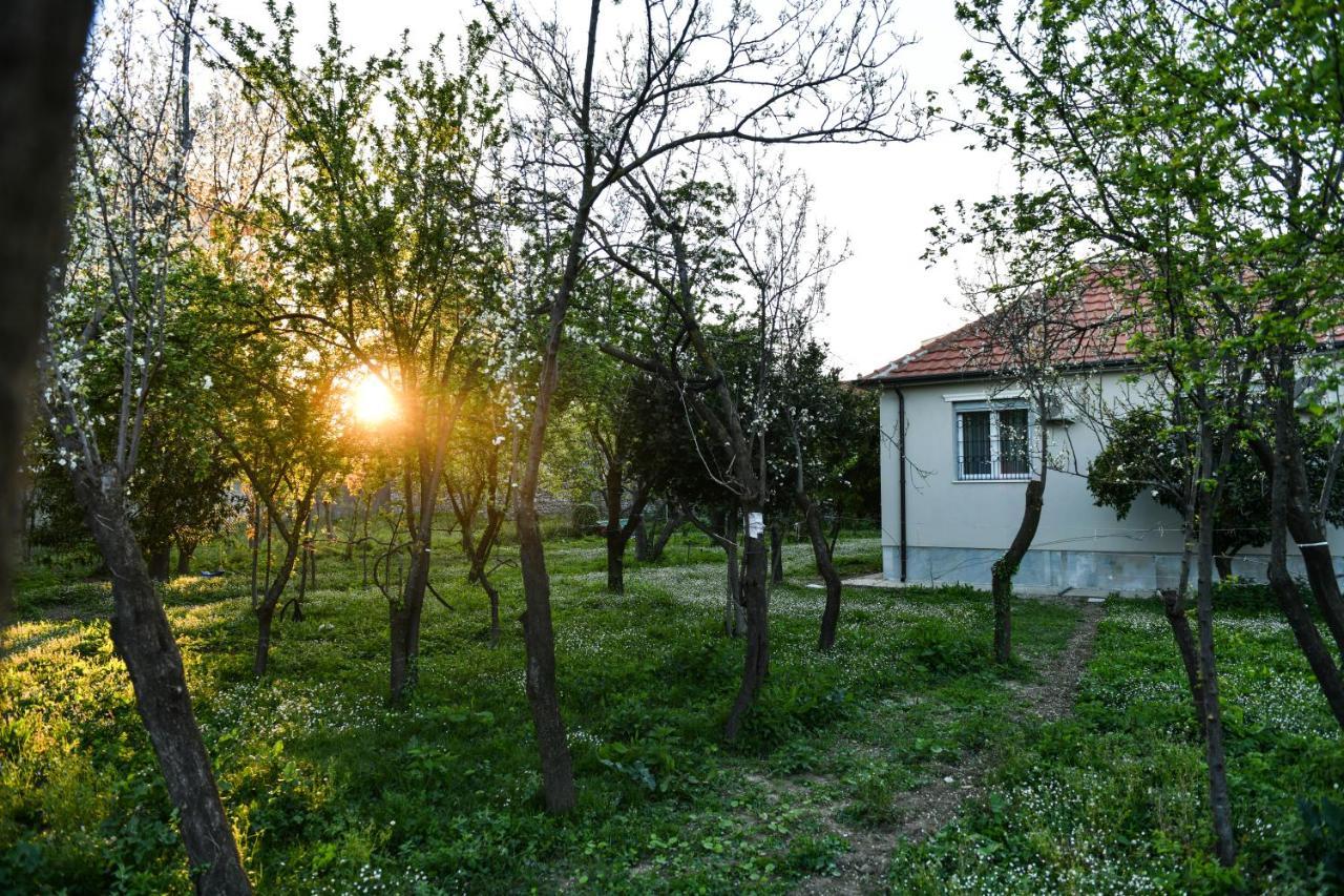 Nicolaus Hidden Gem Villa Shkodër Eksteriør bilde