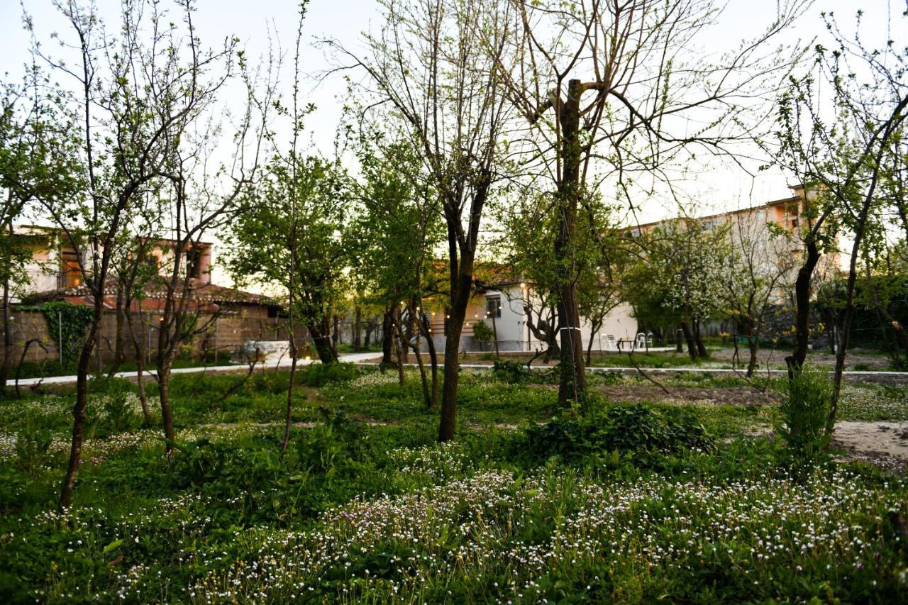 Nicolaus Hidden Gem Villa Shkodër Eksteriør bilde