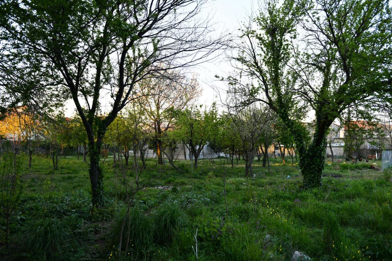 Nicolaus Hidden Gem Villa Shkodër Eksteriør bilde