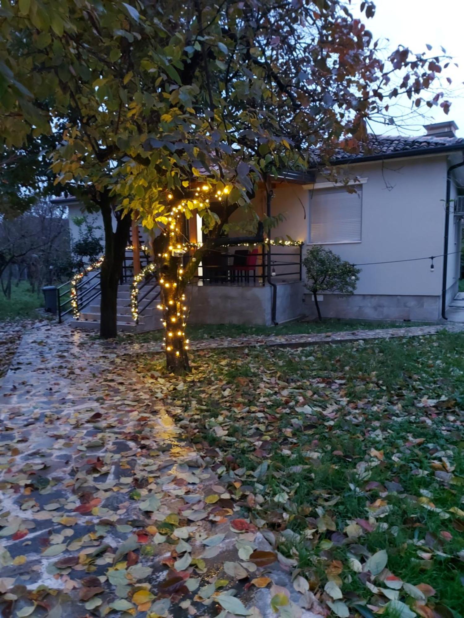 Nicolaus Hidden Gem Villa Shkodër Eksteriør bilde
