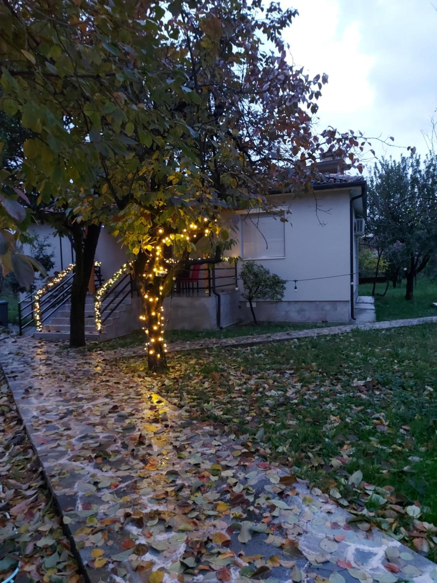 Nicolaus Hidden Gem Villa Shkodër Eksteriør bilde