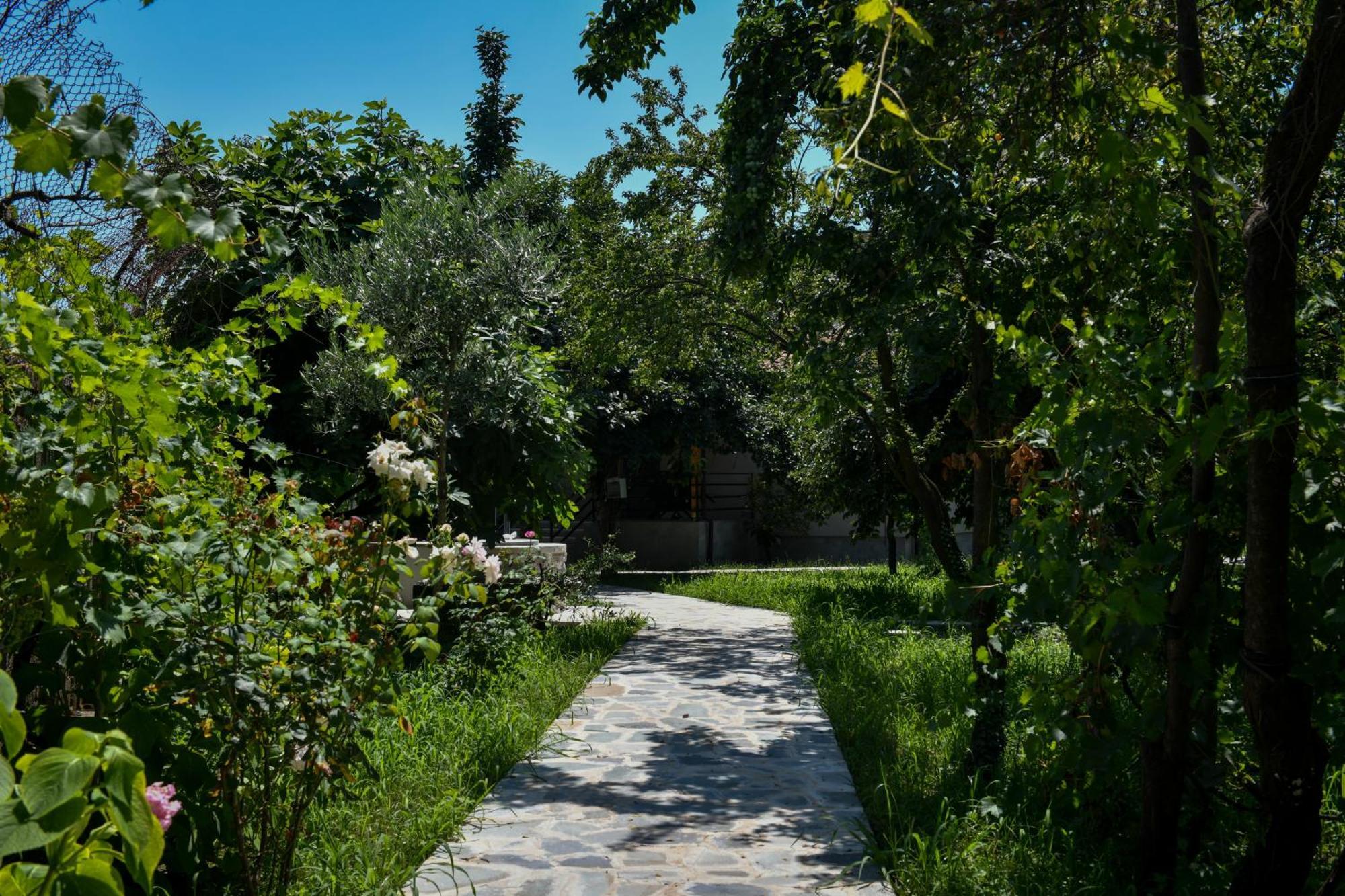 Nicolaus Hidden Gem Villa Shkodër Eksteriør bilde