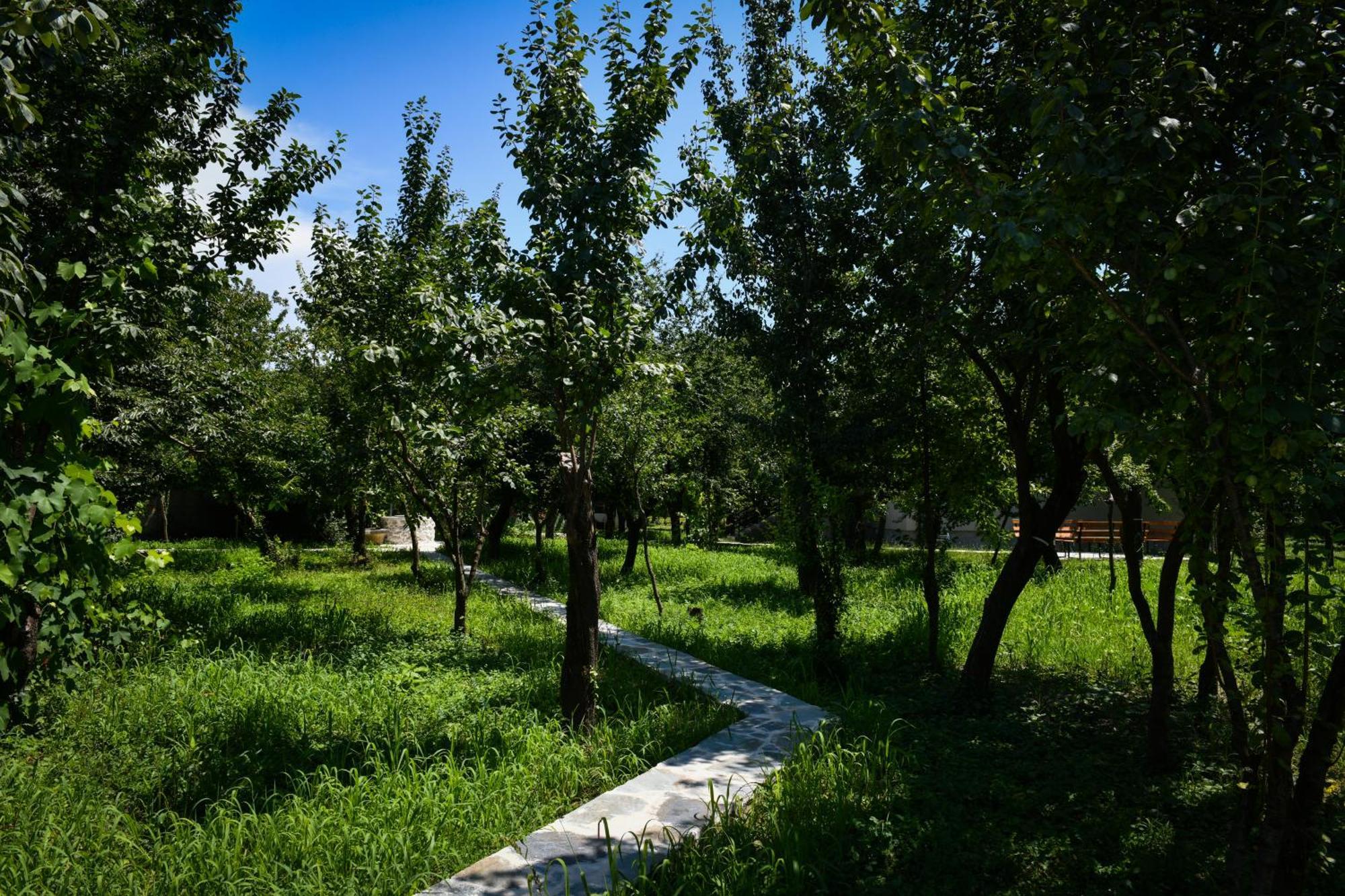 Nicolaus Hidden Gem Villa Shkodër Eksteriør bilde